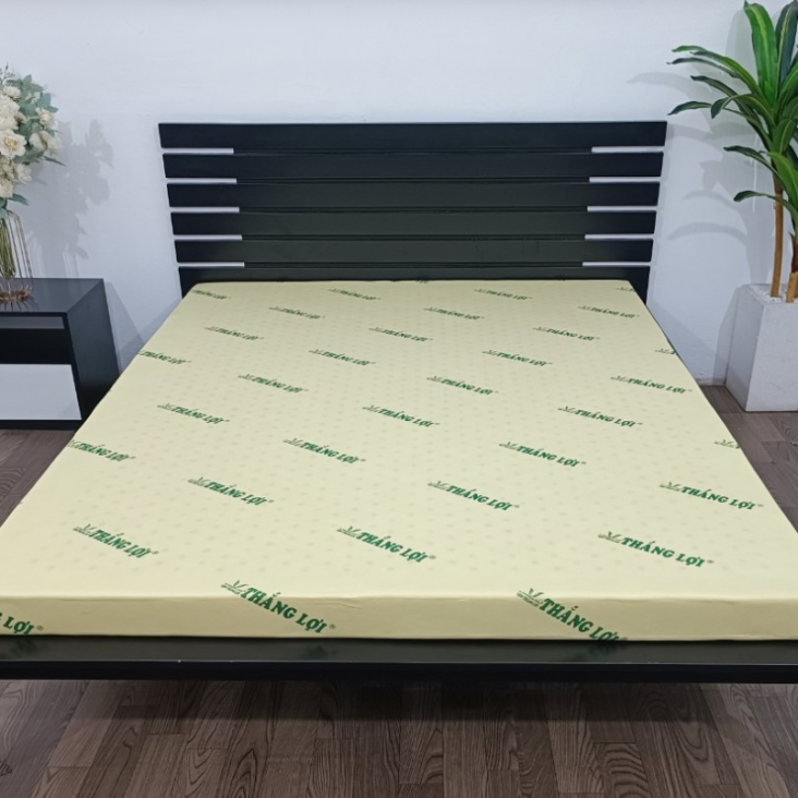 NỆM CAO SU NON G3