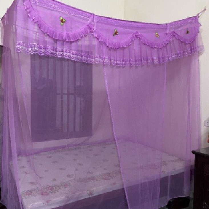 MÙNG TRÒN THÁI